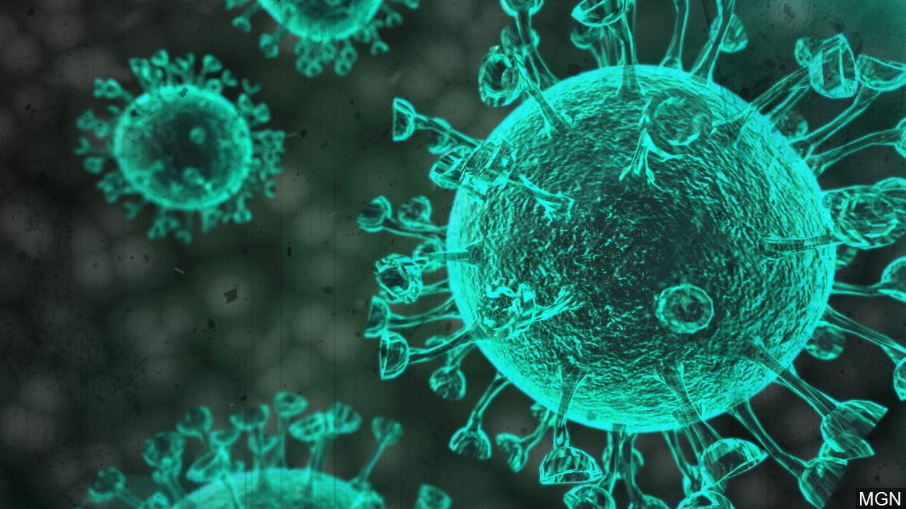 Covid-19-corona-virus-pandemic
