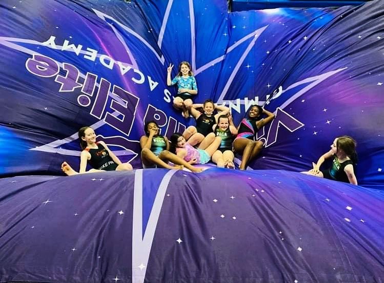 vega gymnastics