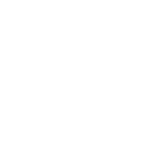 BigAirBag logo white showing company