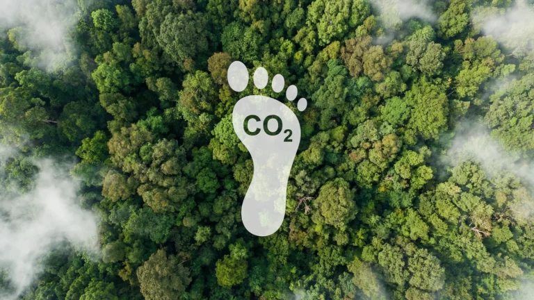 Carbon footprint
